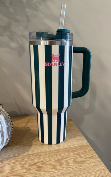 ASTA BAZAR STAINLESS STEEL GREEN LINING TUMBLER